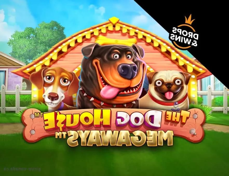 Gambling review site - Crazy Time (Gallery 1-32)